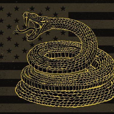 45DJT47CNY's profile picture. 