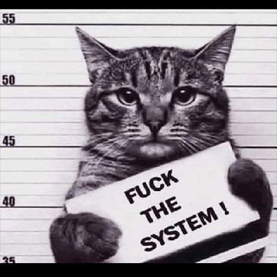 Cege_wa_Nganga's profile picture. None But Ourselves Can Free Our Minds. | REVOLUTIONARY !! | Half The Story Has Never Been Told. | Computer Scientist.