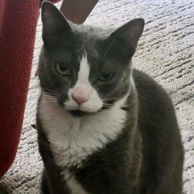 cafediluna's profile picture. I am 60, Ex Cafe owner, Entrepreneur, FT Care giver 4 my mom since Covid. PT Resin & Clay artist. Christian saved by grace, Love Theology, Politics & Coffee!!