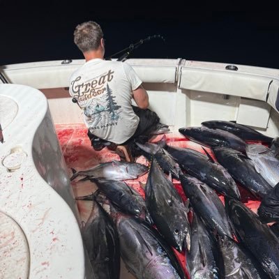 HimarsoClock's profile picture. 