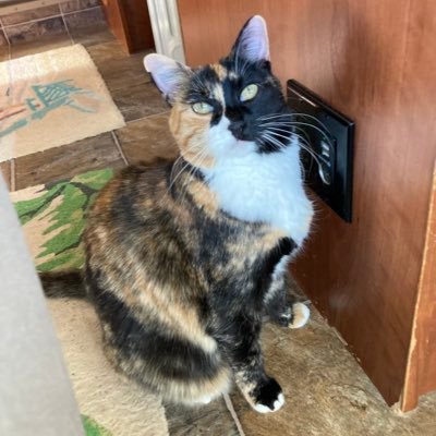 imommakk's profile picture. God is Good…