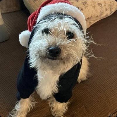 KidFuryLFC's profile picture. New acc | Soon to be Evangelical Catholic | Student of Theology | @StGrandpapaFury is my ancestor | Psalm 51 | Sola Apostolica