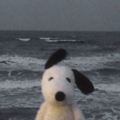 yudiyahyaya's profile picture. 