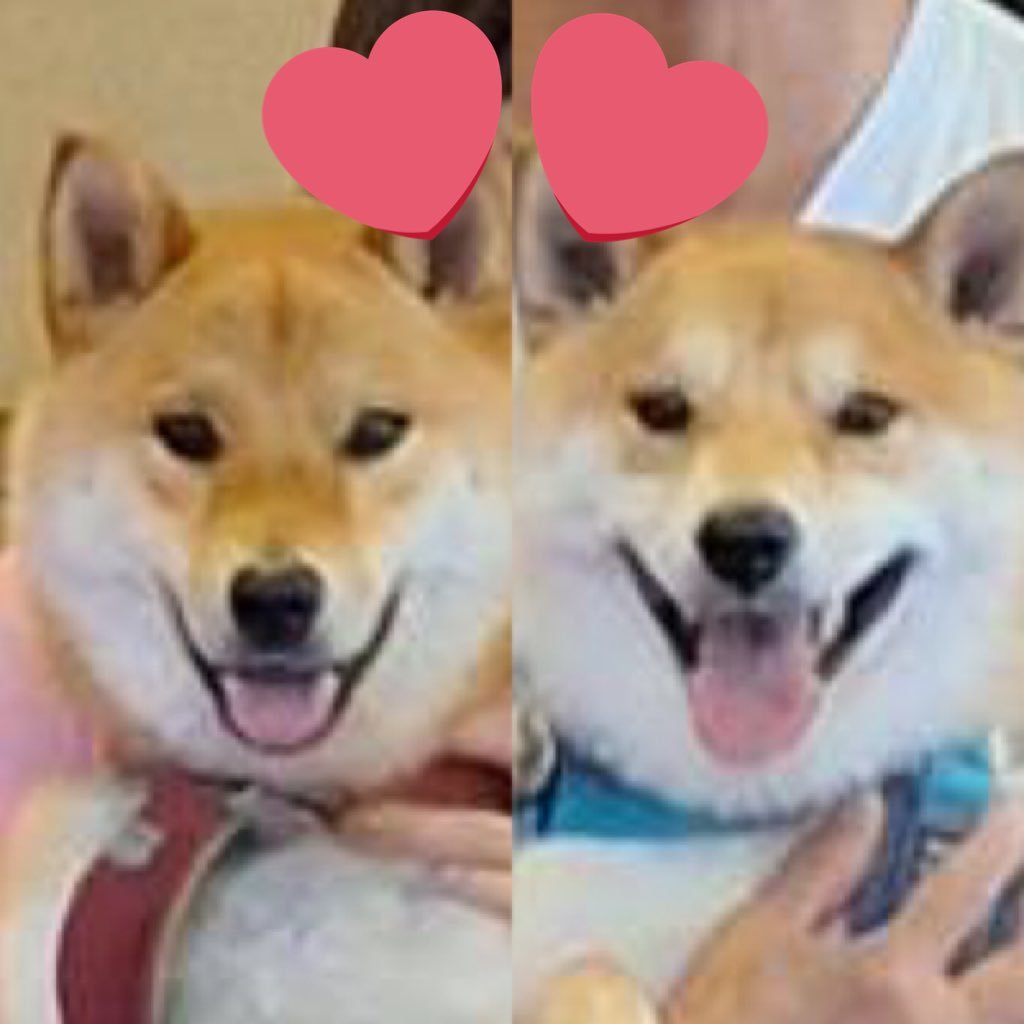 RikaricciR2's profile picture. 本垢ログインできなくなり復活するまでのとりあえずのサブ垢🙄  →復活🤟