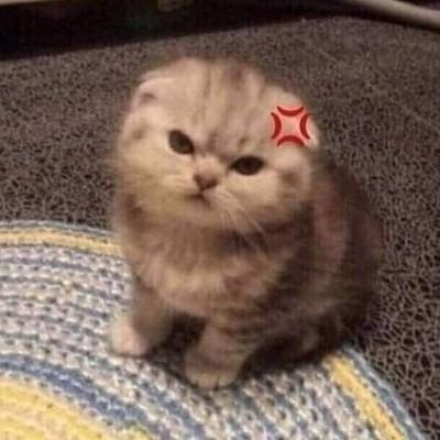 Mungming_127's profile picture. 🐰🦆 ซัพพอร์ต KNP ตลอดไป 🌻🌷

🫸🏻ไม่เอา x you ใคร x you ไปไกล ๆ ❌