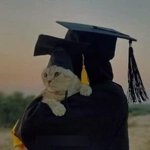 NIK_563's profile picture. ✨ That’s Me /  
Rude from outside /  
Kid by heart /   
Bold in looks /  
Gentle in words /   Yet often misread/  
With due respect, DMs 🚫