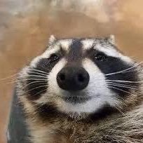 Hhhhh2042912's profile picture. 👨🏻‍💻