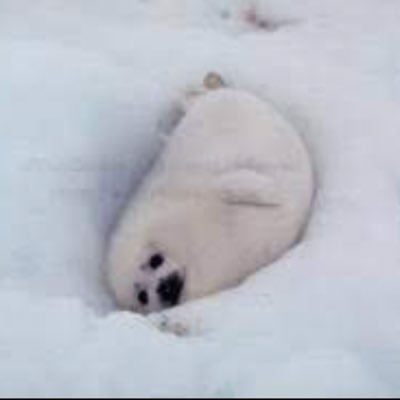 ray6mtn's profile picture. 第一子8月👶 ‘94 // 🗼 // 産休中 来春復帰予定 // 知育やおうち英語の情報収集✏️ // 仲良くしてくださると嬉しいです！無言フォロー失礼します🙇‍♀️