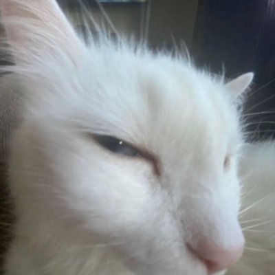 Sp2376's profile picture. Not interested in any opportunities