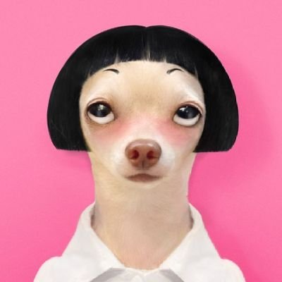 Mueety120358's profile picture. 