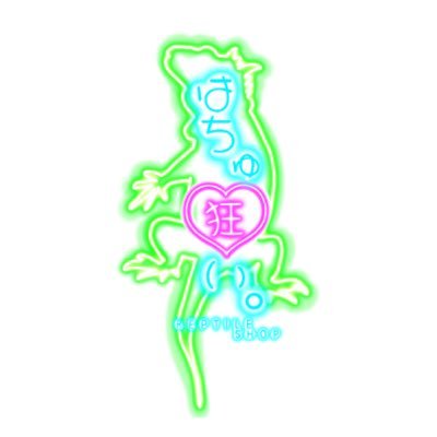 hachugurui's profile picture. すきとかわいいだけで始めた小さな爬虫類ショップ「はちゅ狂い。」12/1オープンしました⛄️ 知識は伸びしろだらけなので見守って下さい🥺Instagramメインですが、頑張ります🙌神健保第0325003号