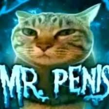 Cice_Nine's profile picture. Uhm very cold rn