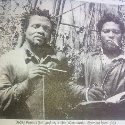 BilaXujia's profile picture. niko nyeri