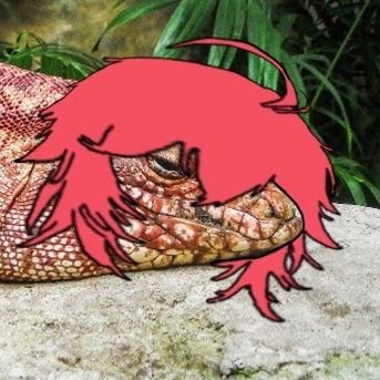 FireDragonFRFR's profile picture. BORN TO FIGHT
THE QUEEN IS A FUCK
死ね Kill Em All VAPAUS
I am fire dragon
410,757,864,530 DEAD NIKKES

Unofficial account|Character rights to Shift Up|Minors DNI