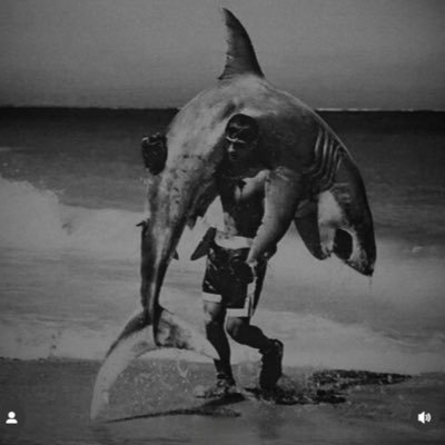 fessyfitness's profile picture. American Gladiator | 6x Challenge Superstar (3x finalist) 2x D1 All American | ESPN Slamball stops per game leader Ninja Warrior 9 | Big Brother 20