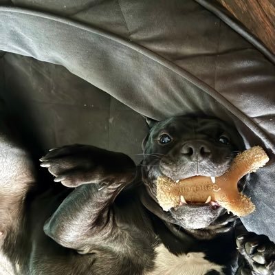 blak_titan89905's profile picture. 