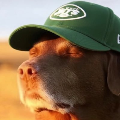 cookie10388292's profile picture. Jets, Yankees, Nets, and NJ Devils Fan