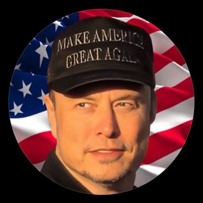 Kekius__Maximu's profile picture. CEO🔻 XAi✪ SpaceX✪ Chief DOGE / architect officer Tesla, inc ✪