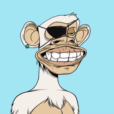 JohnHDark's profile picture. ✝️ Co-Founder @STKnfts BAYC 8144 🍌 MAYC 28723🧪