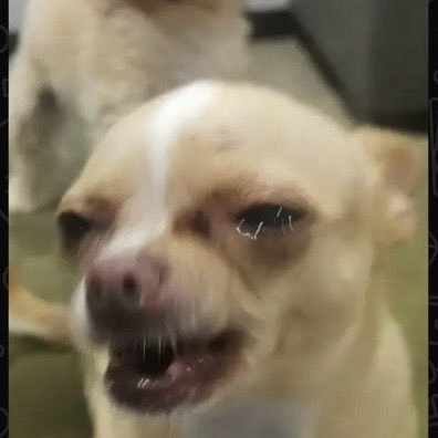 AlejaOrti's profile picture. 