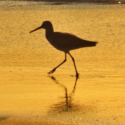 ReelNatives's profile picture. @Columbia PhD; @JohnsHopkins; @FulbrightCanada @CSULB emeritus @UCLAAISC
Bylines @THR @LATimes @RNS @NOLANews @Variety
Author BROKEN ARROW (Reel West) UNM Press