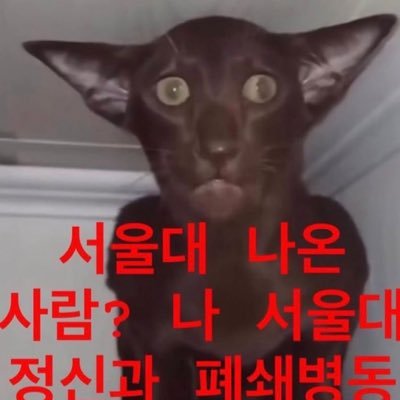 rx331t's profile picture. 11여 비계: @sibalsibals1ba 정병트, 욕트, 유혈 많습니다 / 란프렌, 괴출, 단간론파 팝니다