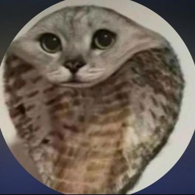 GianT_455's profile picture. 