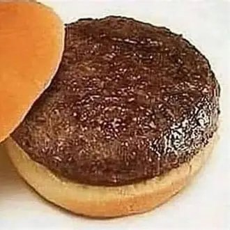 chickenfan009's profile picture. Hi i'm CheeZBurG3RB0B
(Discord just_a_fried_chicken)