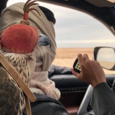 _2ilie's profile picture. 