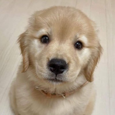 iamppyche's profile picture. ° ꔛ ྀི @Chenrcj  .⁺◟✿ @TuiChayatorn ‧₊˚🍀✩ ˚🎧⊹