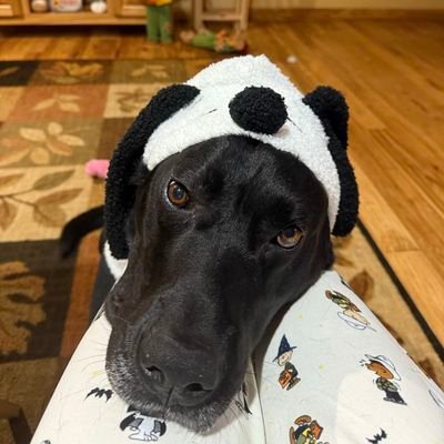 irene33136252's profile picture. Everyday is a new chance to become a better version of yourself. When you feel like quitting, think about why you started...