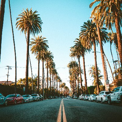 unwindloop's profile picture. sizing responsibly (sometimes)