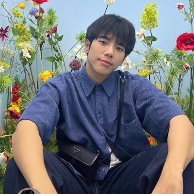 Tulip_taetae_Y's profile picture. 