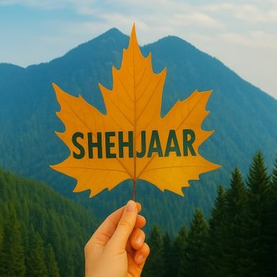 shehjaar_'s profile picture. 𝕏Content Writer | Exuberant | Insomniac |Open minded | Not Affiliated to anyone | Kashmiri 🍁