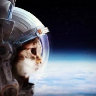 7Amg's profile picture. omertà ##married ##LLS