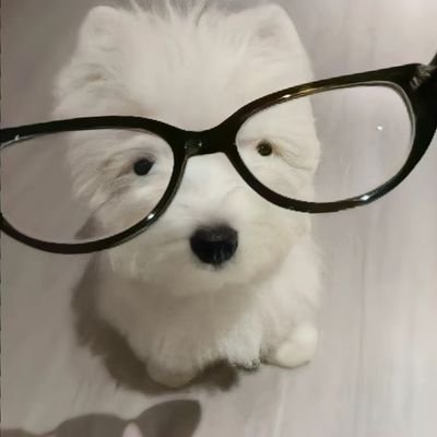 wyw1358491's profile picture. 直男  1i   switch   04/172/70    健身一年半   京津冀地区可约拍  佳能r10+50定小痰盂
欢迎找我聊天互关   主玩端游 lol 瓦 ow 其他游戏也可以