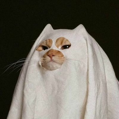 ghostcapx's profile picture. ✍️ Author of truths | 📊 Trader of edges.
​👻 𝐕𝐞𝐫𝐢𝐟𝐢𝐞𝐝 𝐆𝐡𝐨𝐬𝐭 𝐓𝐫𝐚𝐝𝐞𝐫 ✨
​Click the follow button! ➡️