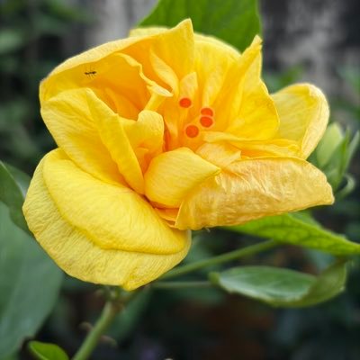 iamkeerthanark's profile picture. 💻 Engineer in growth mode
🎨 Art | 🎶 Music | ✍️ Stories | 🎬 Movies
✨ Walking a path paved by purpose