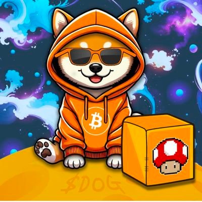 ohboyuh's profile picture. The hat sssssstays on 

$BTC $SNEK $ADA $DOG $DONG $DUNDIES