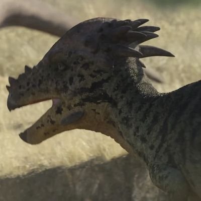 Adamdan19674495's profile picture. Average realist Malaysian dude