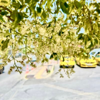 rna0903_ig's profile picture. 