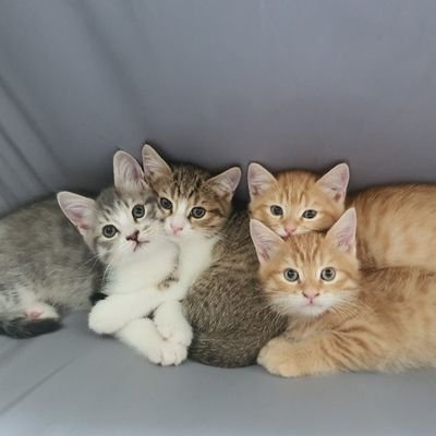 choi_Star_Man's profile picture. Imagination, creativity, investment