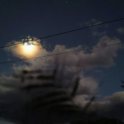 susana_oro48766's profile picture. 