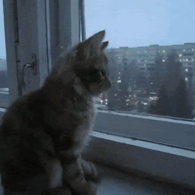 mkaydbd's profile picture. 