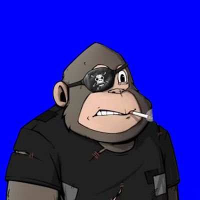 dat_spiv's profile picture. Frontend Developer | Marketing @base | CM @CreateLokoja