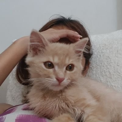 raysielx's profile picture. 