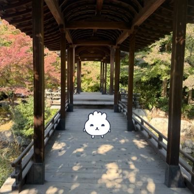 neguseiu's profile picture. 