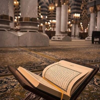 ReemAhmed561432's profile picture. 