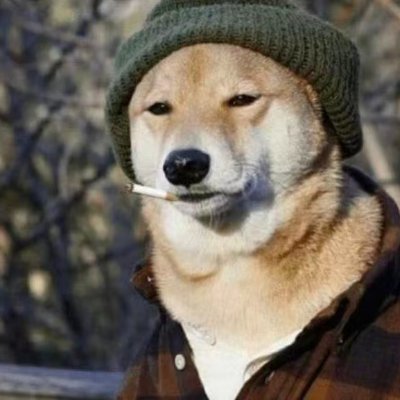 Qiandler_mio's profile picture. Which is more harmful, ten lies or one-tenth of a lie? 
Believe in somETHing~
vmiox.base.eth