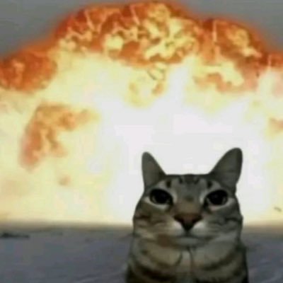 f4914laststop's profile picture. 